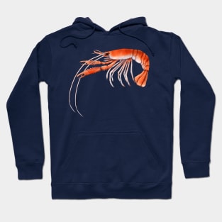 Nephrops norvegicus Hoodie